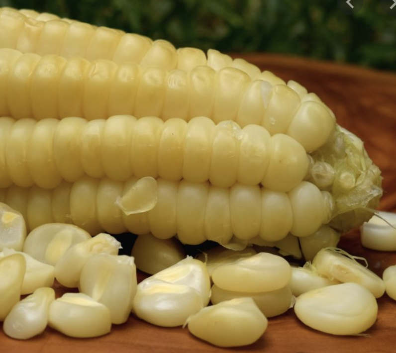 Peruvian Choclo Corn | Order Online: Inca's Peruvian Cuisine